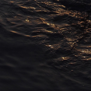 四虎成人www国产精品
