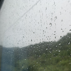 四虎成人www国产精品
